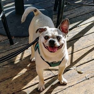 Meet your Posher, Matt